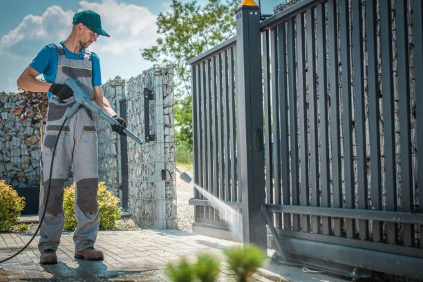 Best Rust Removal  in San Pasqual, CA
