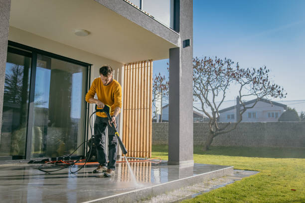 Best Fence Cleaning  in San Pasqual, CA