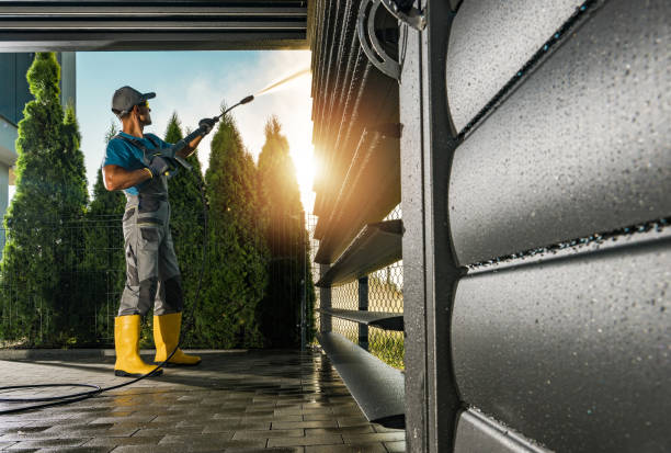 Best Dumpster Area Cleaning  in San Pasqual, CA